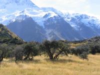 Albums/20060200-New Zealand 2006/20060317-Cook/13